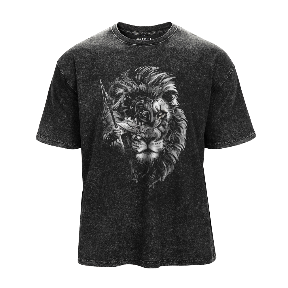 Paladin Lion Washed T-Shirt